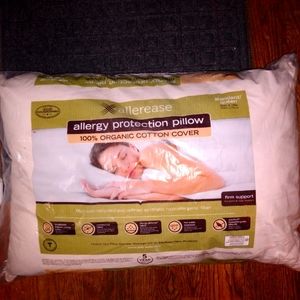 Standard Queen Organic cotton pillow
